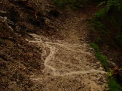 2013-06-01_Regina-F-Rau_Staffelalm_Hochwasser (004).JPG